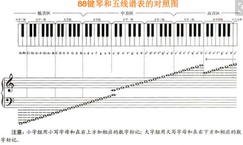 肺不好按摩什么穴位-肺不好按哪个经络网肺不舒服按哪几个学位知识网站,分享肺不好按摩什么穴位大全